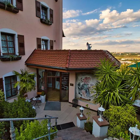Neckarblick Hotel באד ווימפן