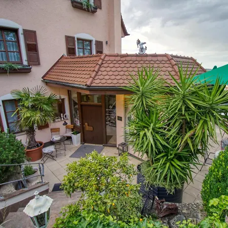 מלון Neckarblick Hotel