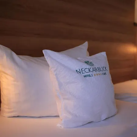 호텔 Neckarblick