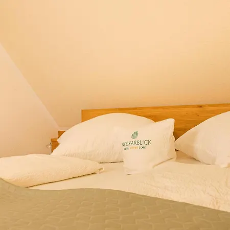 Neckarblick 호텔