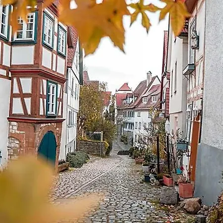 Neckarblick Hotel 3*