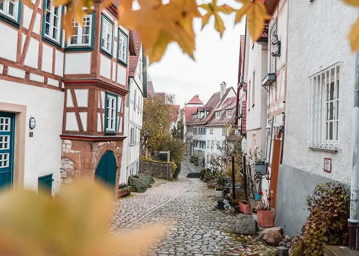 Neckarblick 3* باد فيمفين