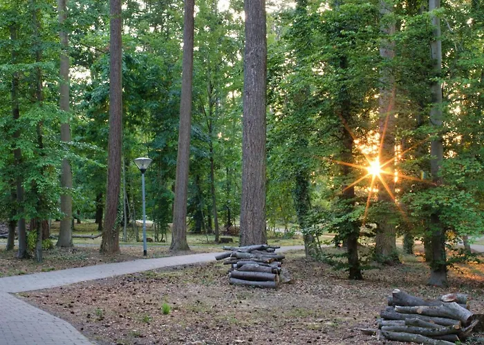 Neckarblick 3* باد فيمفين